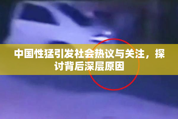 中国性猛引发社会热议与关注，探讨背后深层原因