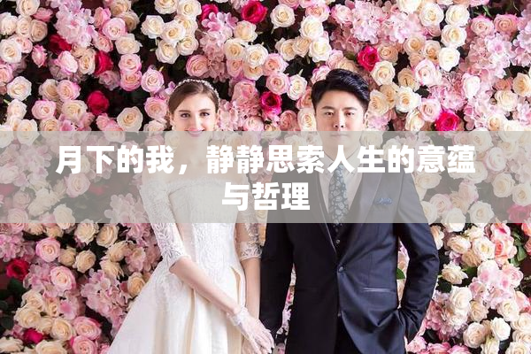 月下的我，静静思索人生的意蕴与哲理