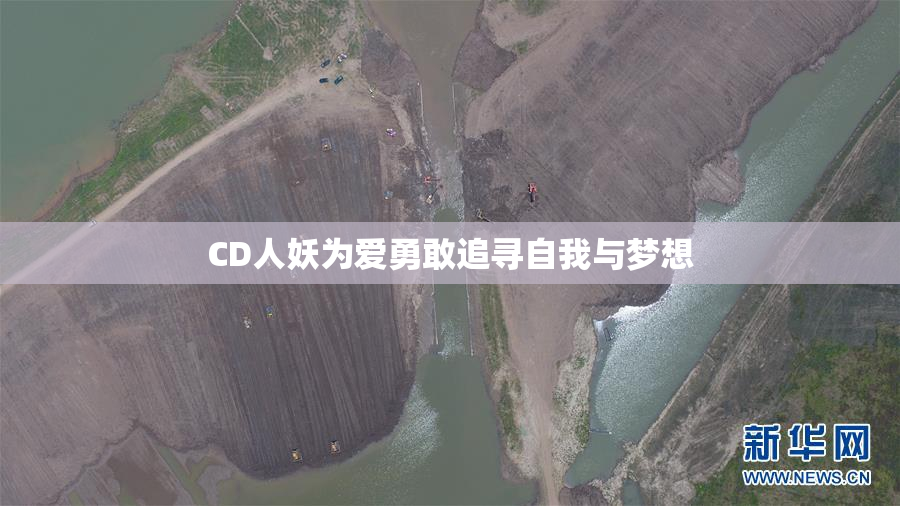 CD人妖为爱勇敢追寻自我与梦想