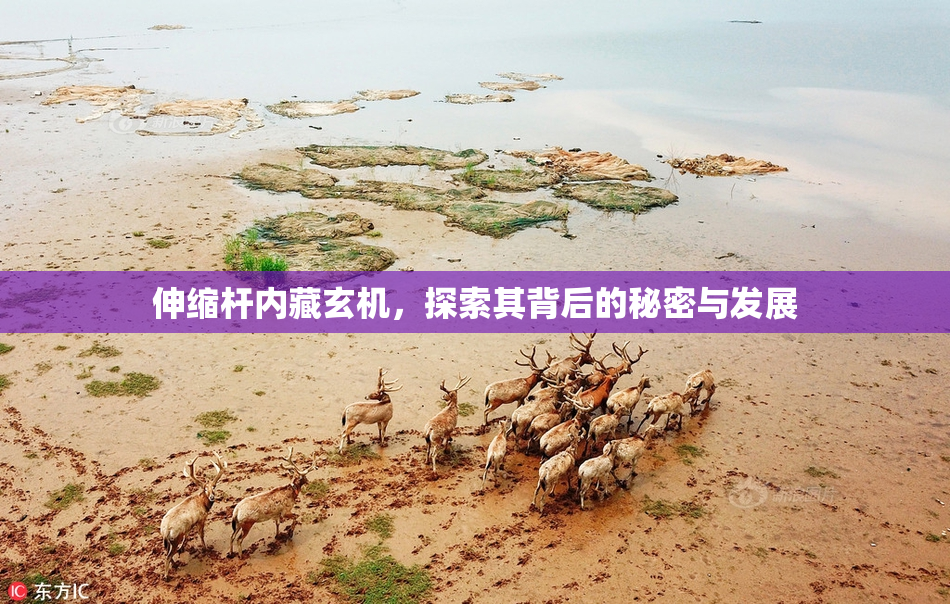 伸缩杆内藏玄机，探索其背后的秘密与发展