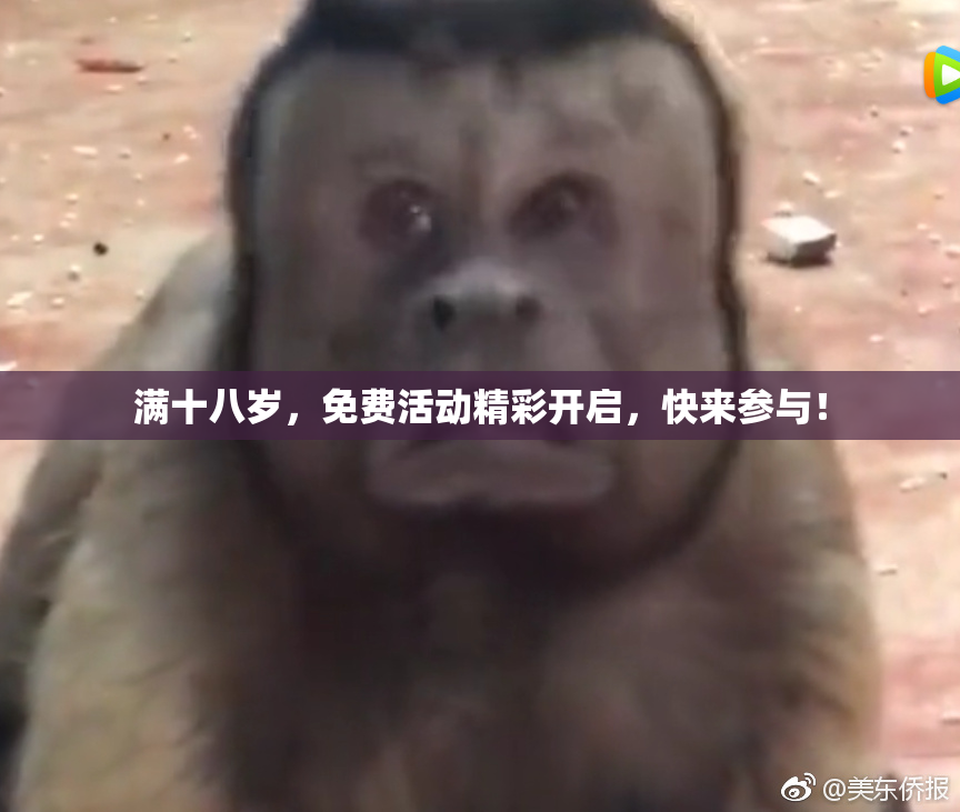 满十八岁，免费活动精彩开启，快来参与！