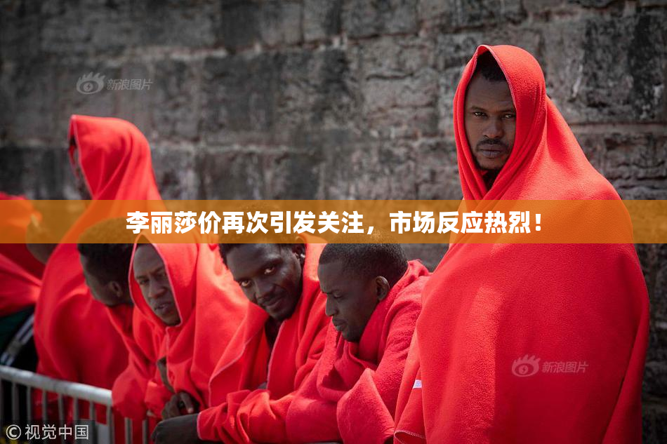 李丽莎价再次引发关注，市场反应热烈！