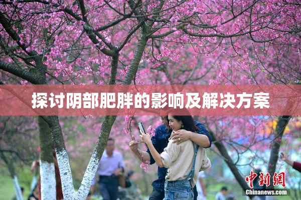 探讨阴部肥胖的影响及解决方案