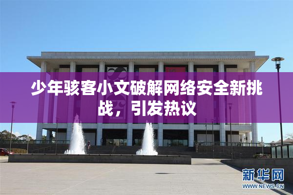 少年骇客小文破解网络安全新挑战，引发热议