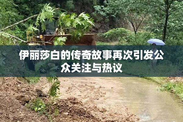 伊丽莎白的传奇故事再次引发公众关注与热议