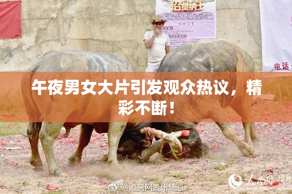 午夜男女大片引发观众热议，精彩不断！