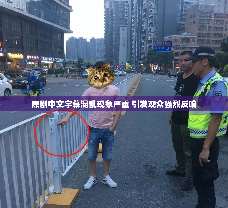原剧中文字幕混乱现象严重 引发观众强烈反响