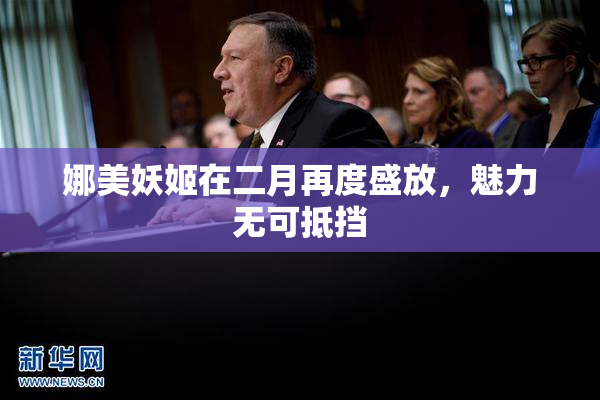 娜美妖姬在二月再度盛放，魅力无可抵挡