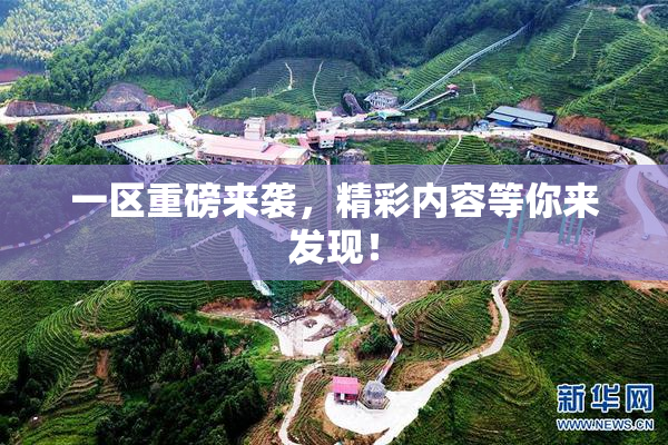 一区重磅来袭，精彩内容等你来发现！