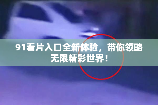 91看片入口全新体验，带你领略无限精彩世界！