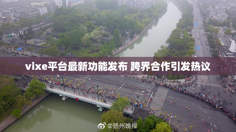 vixe平台最新功能发布 跨界合作引发热议