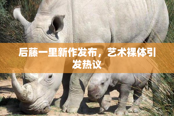 后藤一里新作发布，艺术裸体引发热议