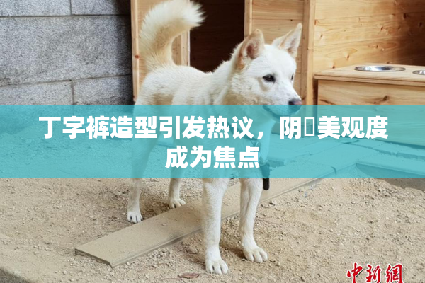 丁字裤造型引发热议，阴脣美观度成为焦点