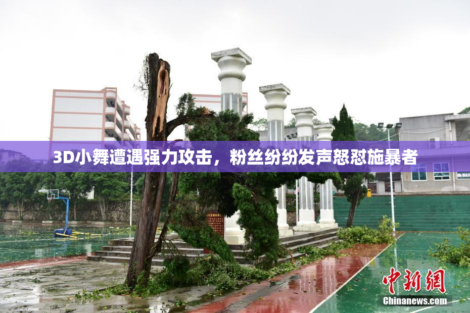 3D小舞遭遇强力攻击，粉丝纷纷发声怒怼施暴者