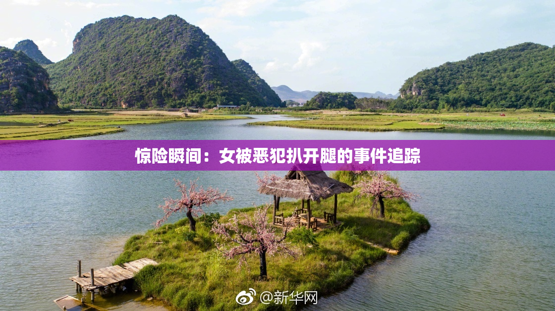 惊险瞬间：女被恶犯扒开腿的事件追踪
