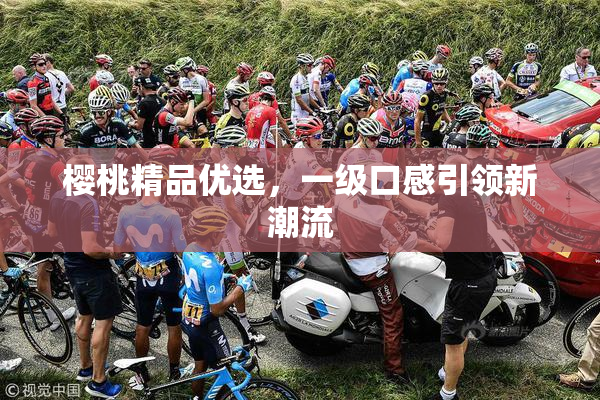 樱桃精品优选，一级口感引领新潮流