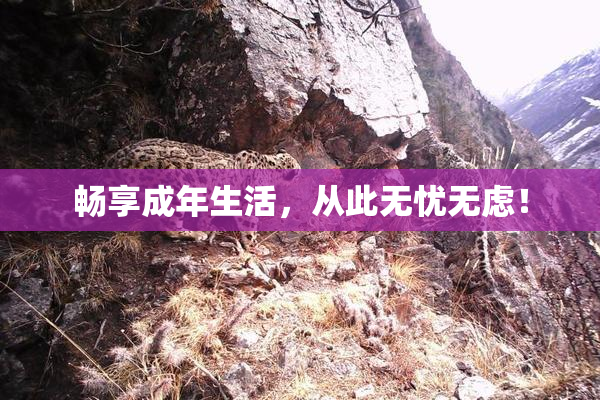 畅享成年生活，从此无忧无虑！