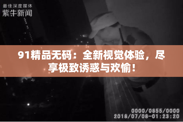 91精品无码：全新视觉体验，尽享极致诱惑与欢愉！