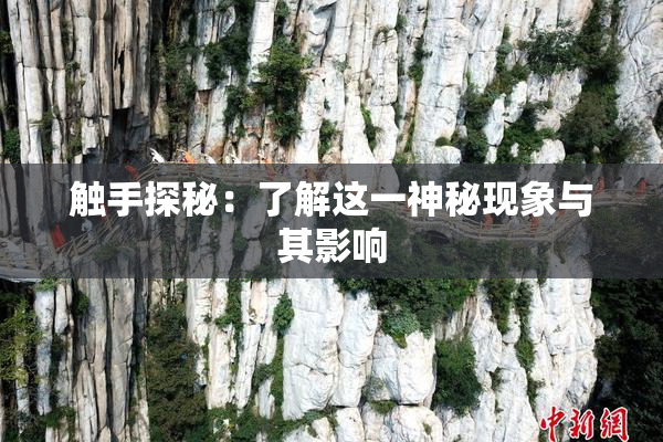 触手探秘：了解这一神秘现象与其影响