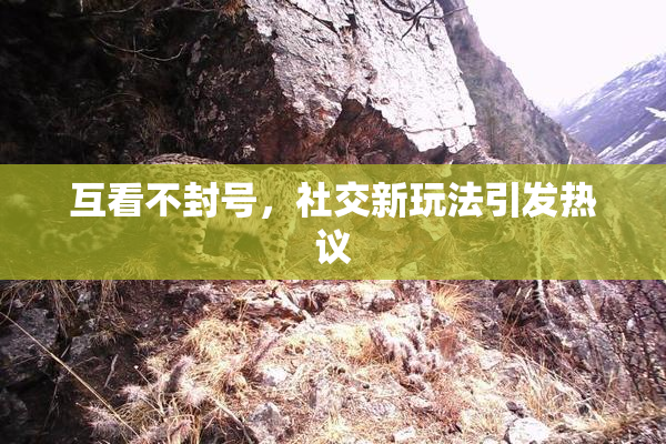 互看不封号，社交新玩法引发热议