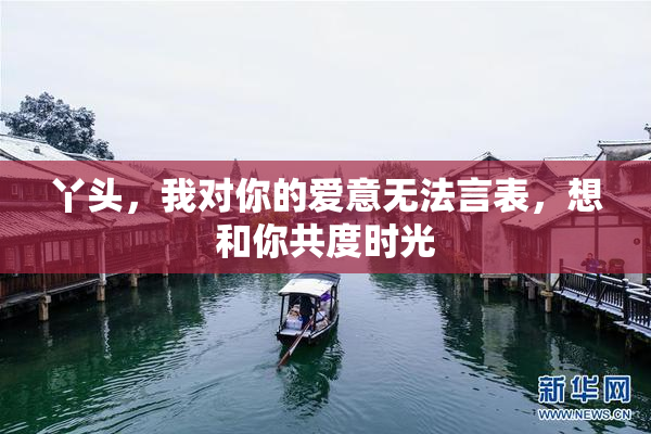 丫头，我对你的爱意无法言表，想和你共度时光
