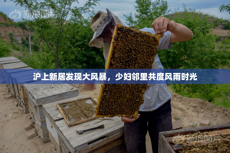 沪上新居发现大风暴，少妇邻里共度风雨时光