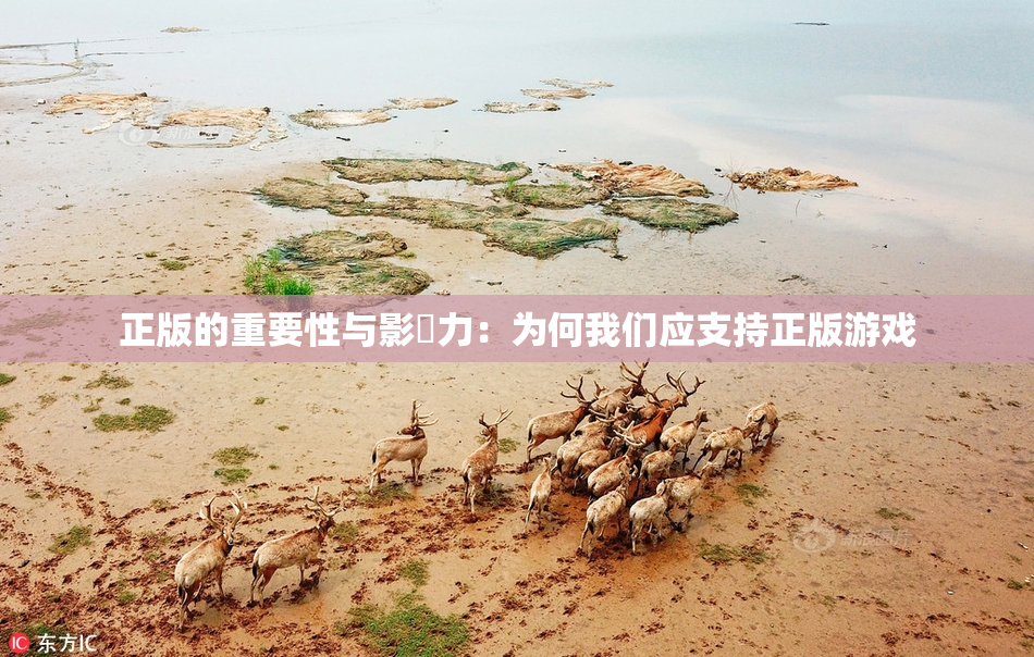 正版的重要性与影響力：为何我们应支持正版游戏
