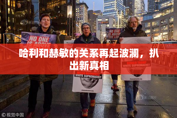 哈利和赫敏的关系再起波澜，扒出新真相