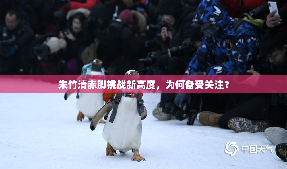 朱竹清赤脚挑战新高度，为何备受关注？
