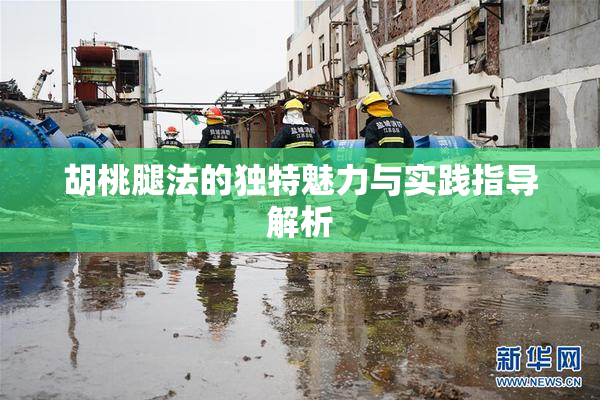胡桃腿法的独特魅力与实践指导解析