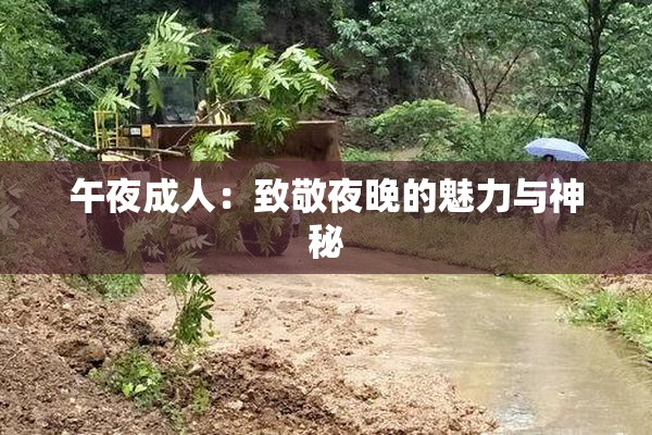 午夜成人：致敬夜晚的魅力与神秘