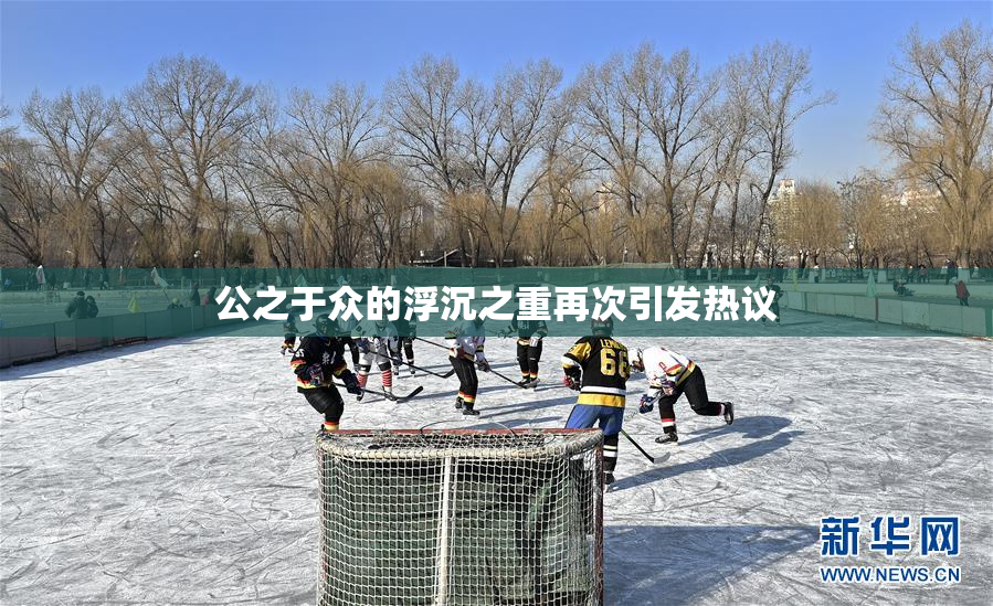 公之于众的浮沉之重再次引发热议