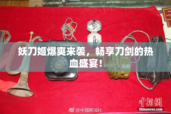 妖刀姬爆爽来袭，畅享刀剑的热血盛宴！