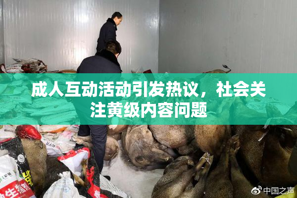 成人互动活动引发热议，社会关注黄级内容问题