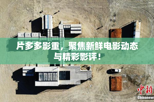 片多多影重，聚焦新鲜电影动态与精彩影评！