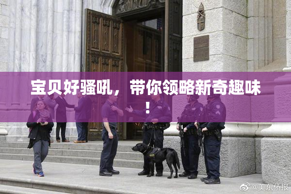 宝贝好骚吼，带你领略新奇趣味！