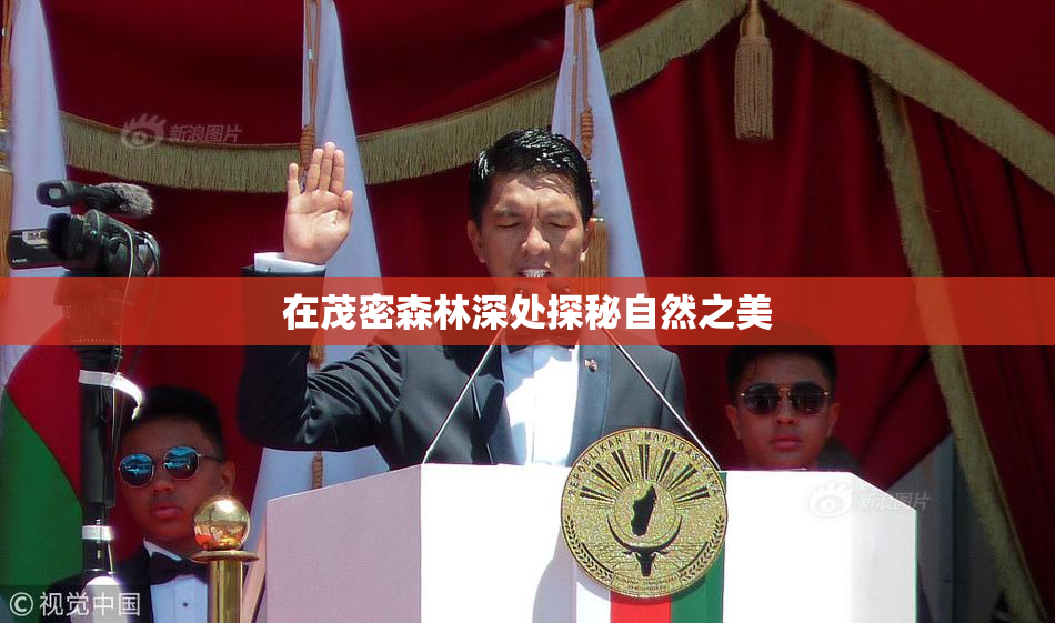在茂密森林深处探秘自然之美