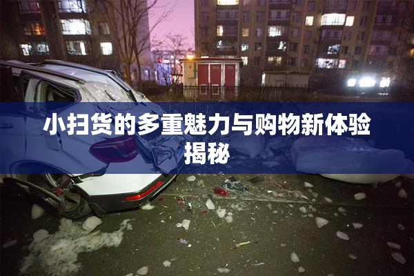 小扫货的多重魅力与购物新体验揭秘