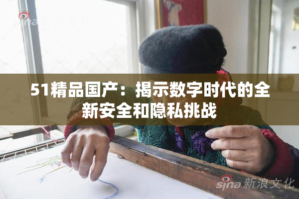 51精品国产：揭示数字时代的全新安全和隐私挑战