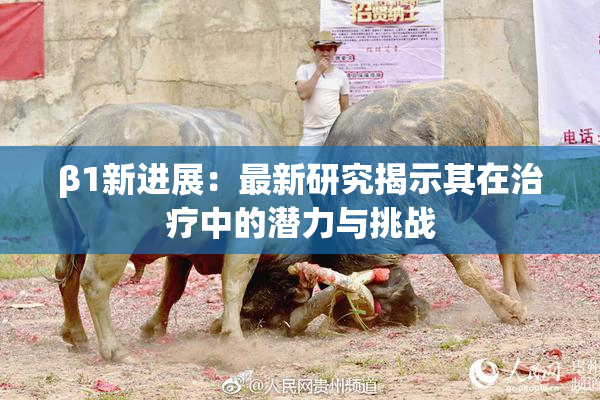 β1新进展：最新研究揭示其在治疗中的潜力与挑战