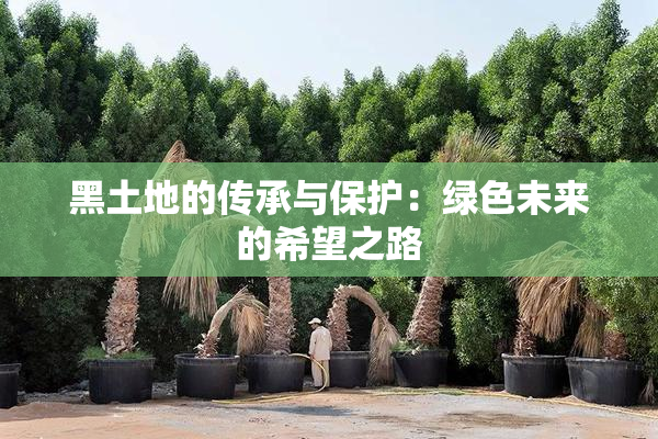 黑土地的传承与保护：绿色未来的希望之路