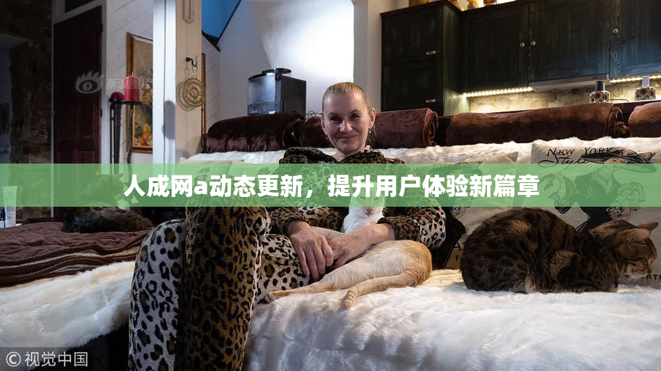人成网a动态更新，提升用户体验新篇章
