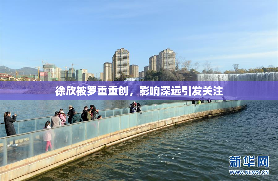 徐欣被罗重重创，影响深远引发关注