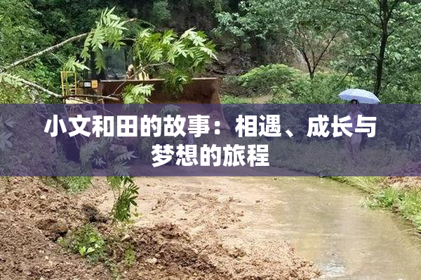 小文和田的故事：相遇、成长与梦想的旅程