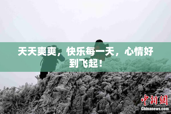 天天爽爽，快乐每一天，心情好到飞起！
