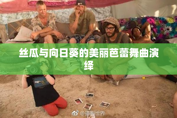 丝瓜与向日葵的美丽芭蕾舞曲演绎