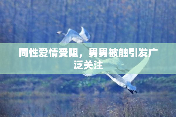 同性爱情受阻，男男被触引发广泛关注