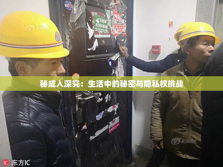 秘成人深究：生活中的秘密与隐私权挑战