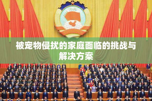 被宠物侵扰的家庭面临的挑战与解决方案