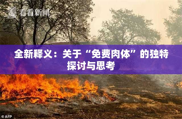 全新释义：关于“免费肉体”的独特探讨与思考